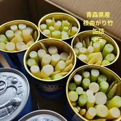 根曲がり竹瓶詰め2本セット(大) - メルカリ