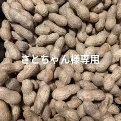 さとちゃん様専用