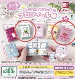 プロフィール帳　サンリオキャラクターズ