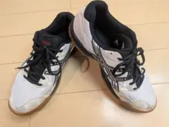 ASICS バドミントンシューズ 24.5cmのサムネイル