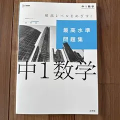 最高水準問題集 中1数学