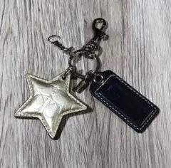 Item thumbnail for item 13d7ccdb-14b8-4af8-b3e7-8402f0fe1d52