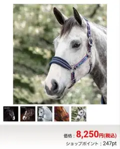 RAMBO　 乗馬用品　無口　fullサイズ