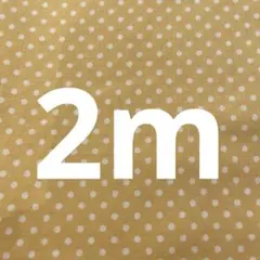 【匿名配送】シーチング　黄色　水玉ドット柄　綿100％ 生地幅×2m