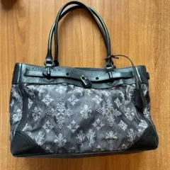 Item thumbnail for item 21b63241-dd56-49f1-b233-778e18835165