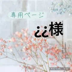 ¿¿様　専用