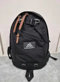 100個限定】GREGORY バリスティックナイロン 伊勢丹コラボ - メルカリ