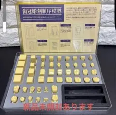 新品未開封 ニッシン 歯冠彫刻順序模型 C11-TU.1歯型彫刻 歯科 - メルカリ