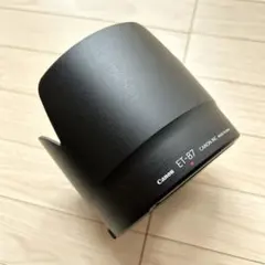 Item thumbnail for item e96357d5-0d73-4d36-ae2f-38181c7706f5