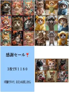 感謝セール❣️１６