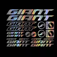 GIANTステッカー 虹色 他の色もあり‼️のサムネイル