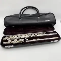 Pearl Flute パール フルート PF-525 Eメカ ハードケース - メルカリ