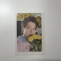 SEVENTEEN yourchoice ウォヌ　トレカ