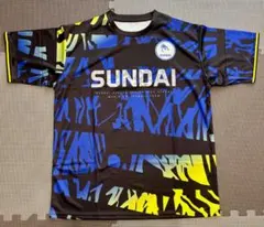 駿台学園 2025年度 公式練習用Tシャツ バレーボール部 L 貴重