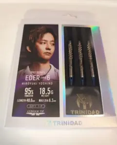 TRiNiDAD PRO EDER(エデル) Type 6 吉野洋幸モデルのサムネイル