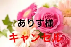 ありす様専用ページ❤︎