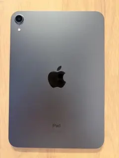 Apple iPad mini スペースグレー 本体