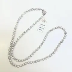 Item thumbnail for item 06ee39f3-7ff6-4d4e-b8ce-61b4f2b57632