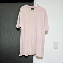 ZARA メンズ Tシャツ ロンT ピンク