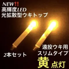 Item thumbnail for item 2562fe00-67e3-4b7c-8606-de4806ab81a5