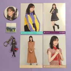 乃木坂46 生田絵梨花 グッズ6点セット アクリルキーホルダー 生写真 缶バッジ