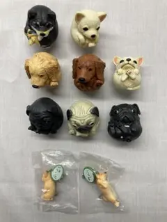 2025年最新】朝隈俊男 パグの人気アイテム - メルカリ