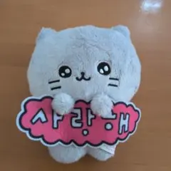 チェゴシム　グレー