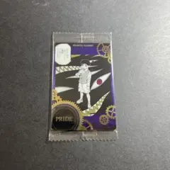 ハガレン　ウエハース　カード　プライド