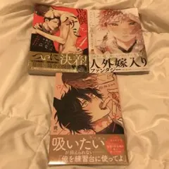 ボーイズラブ　3冊セット　bl