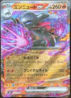 ポケモンカード 50枚セットです。 キラカードを含めて 約12枚あります。