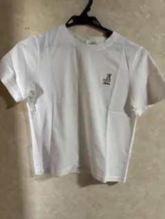 Item thumbnail for item 42d2b681-13b2-4626-9522-76ebfd02f404