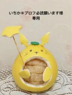 【いちか※プロフ必読願います様専用】英語絵本2冊