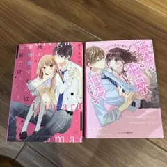 Item thumbnail for item 999a2955-c5a9-4823-bccf-cab9e118b6e3