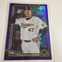 Item thumbnail for item 4cb2317a-b6ad-4abc-88ce-5c81bb41a2d7