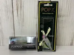 メガバス POPMAX 限定SPカラー　POLYPTERUS メガバス POPMAX 限定SPカラー POLYPTERUS - メルカリ