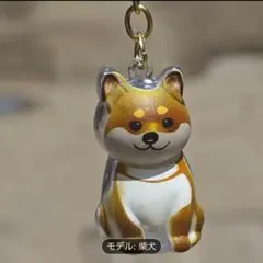 Item thumbnail for item de1c9212-c6a4-4bed-801e-12c4b9f37b2b