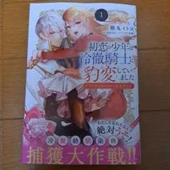 初恋の少年は冷徹騎士に豹変していました 1 全力で告白されるなんて