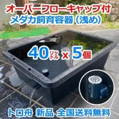メダカ飼育ケース 60㍑トロ舟x5個 オーバーフロー 金魚飼育容 メダカ