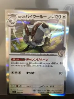 ホップのバイウールー 142/193