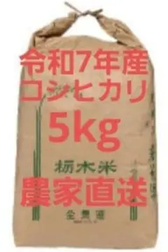 農家直送　コシヒカリ　5kg　令和７年　栃木県産のサムネイル