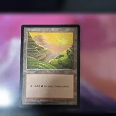 MTG APAC2ランド 山 英語1枚 台湾 - メルカリ