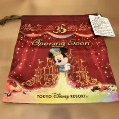 ミッキー　巾着　ディズニー　35周年