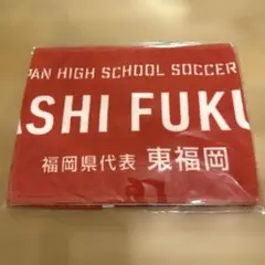 Item thumbnail for item 10ba73f2-9901-413a-9888-574e3a7216b2