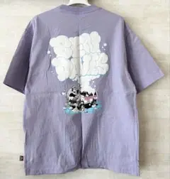 ウォッシングカー Tシャツ BEN DAVIS ベンデイビス ライトオン