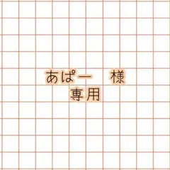 あぱー様 リクエスト 2点 まとめ商品