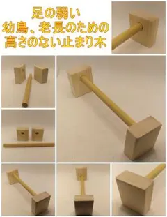 Item thumbnail for item 4da95604-2e30-4e87-80fe-5f58e63f53d8