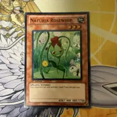 遊戯王 ナチュルローズウィップ 字レア DTC2 デュエルターミナル3枚
