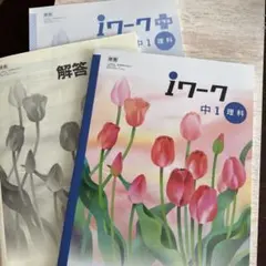 2026年最新】Iワーク 中1の人気アイテム - メルカリ