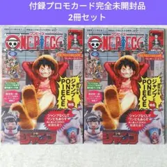 ⭐付録プロモカード完全未開封品2冊セット⭐ワンピースマガジン20号　厳重梱包