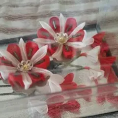 Item thumbnail for item 19ed255e-e3f9-4263-ab5d-dbcd800a182f